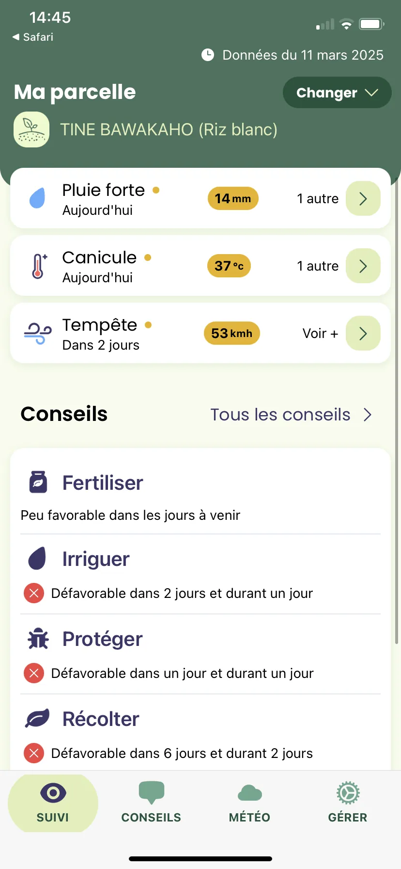 Synthèse d'une rizière